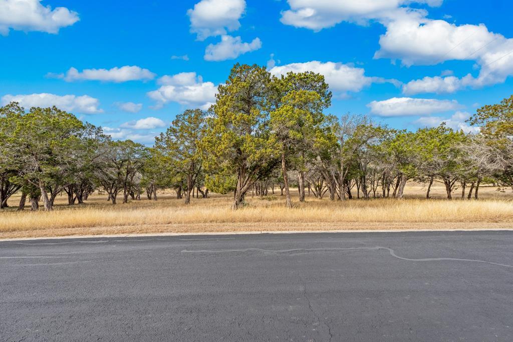 Lot 89 Spring Lakes Parkway Ingram, TX 78025 - Photo 2 of 19
