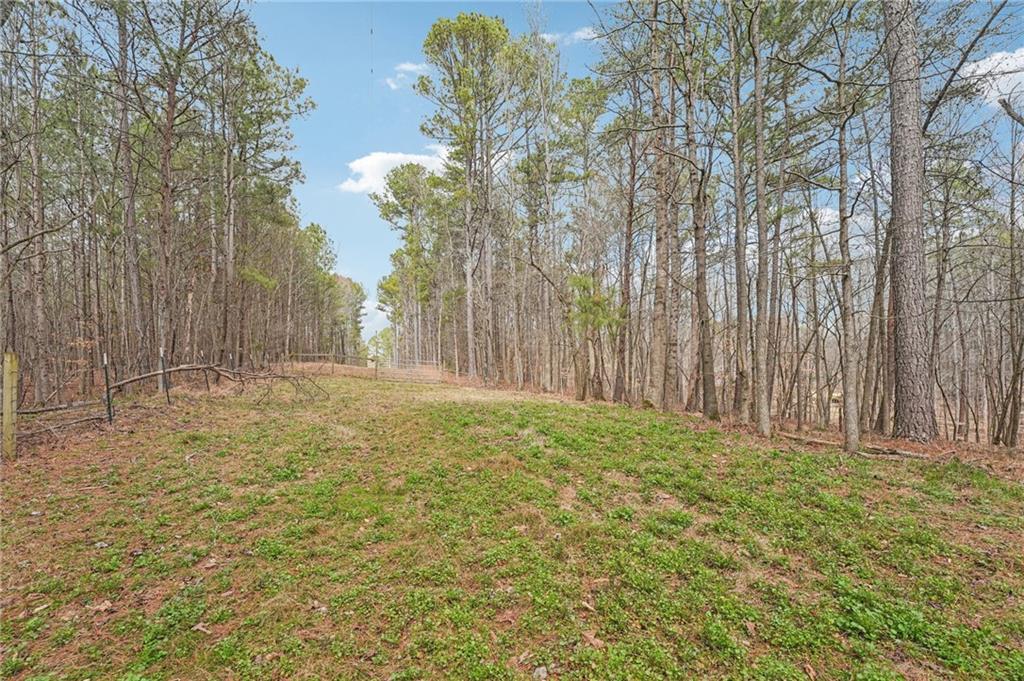257 Shellhorse Road Southeast Ranger, GA 30734 - Photo 36 of 44 a view of backyard with tree