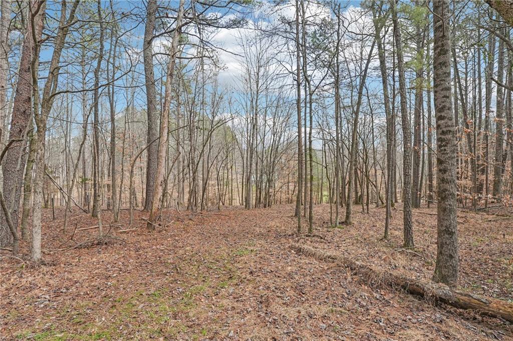 257 Shellhorse Road Southeast Ranger, GA 30734 - Photo 37 of 44 a view of wooden fence with large trees