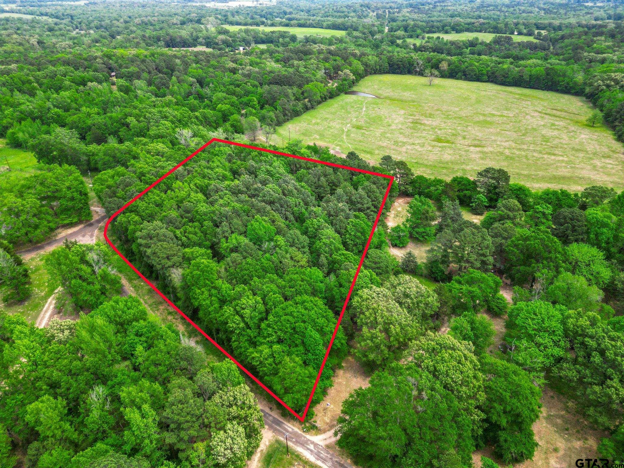 a view of a yard with plants