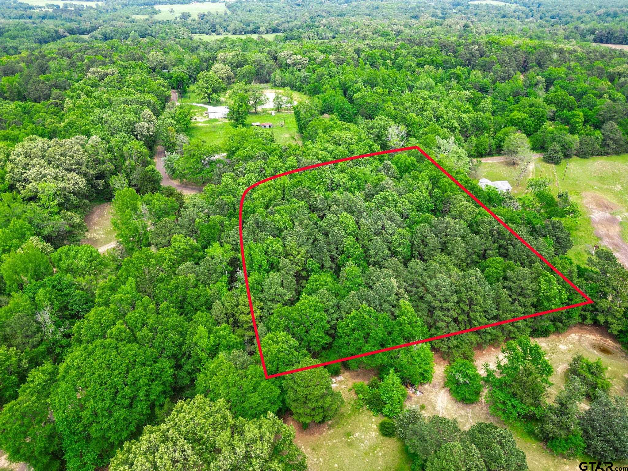 Tbd Giraffe Road Gilmer, TX 75644 - Photo 2 of 10 a view of a garden