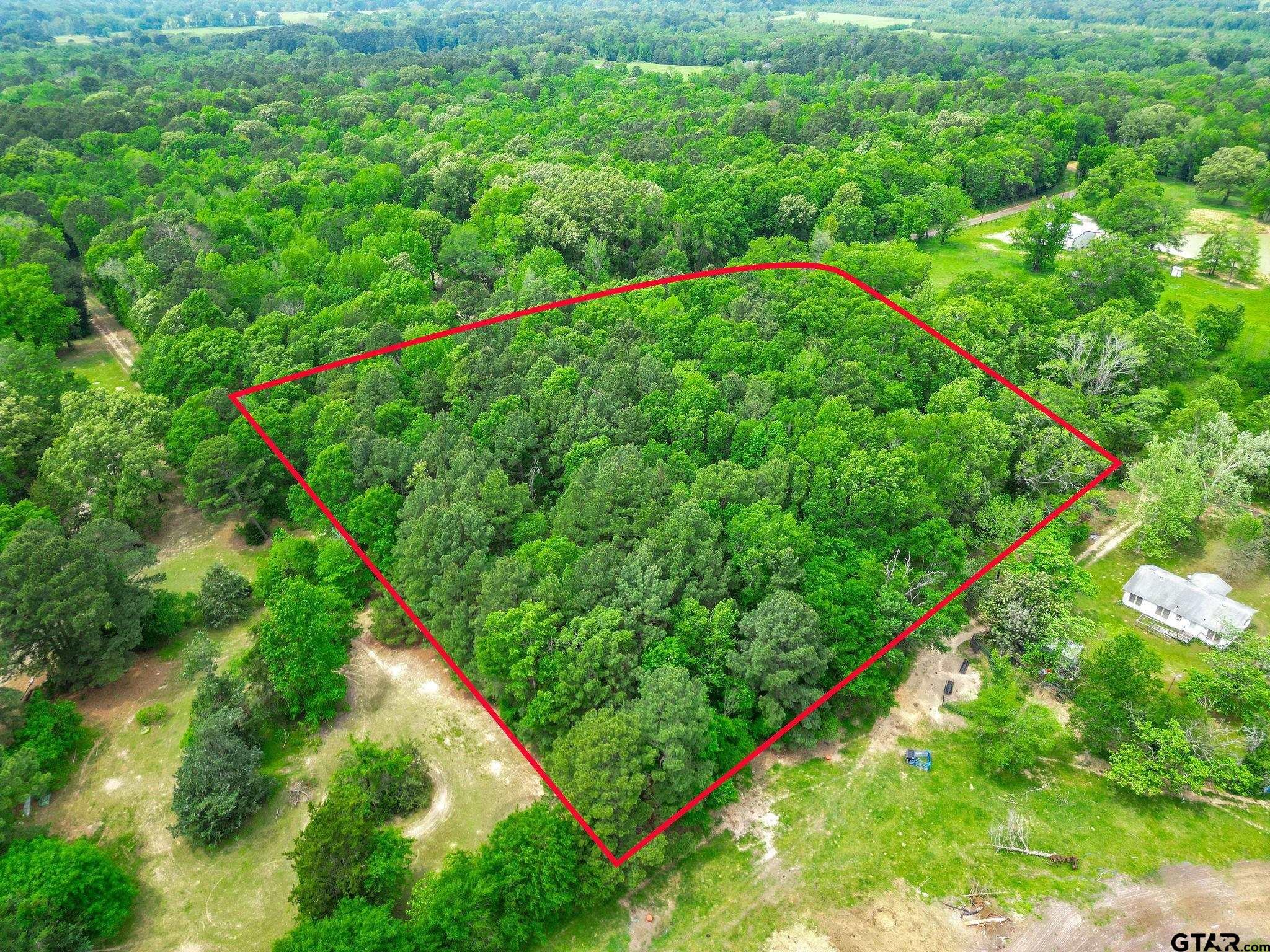 Tbd Giraffe Road Gilmer, TX 75644 - Photo 3 of 10 a view of a lush green forest with large trees