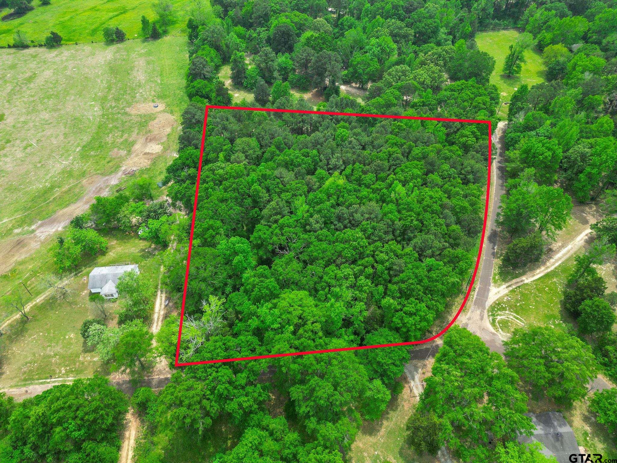 Tbd Giraffe Road Gilmer, TX 75644 - Photo 5 of 10 a view of a garden with a flower garden