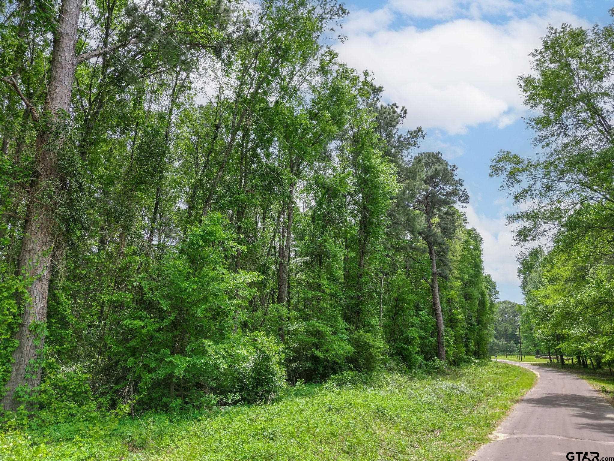 Tbd Giraffe Road Gilmer, TX 75644 - Photo 6 of 10 a view of a lush green forest