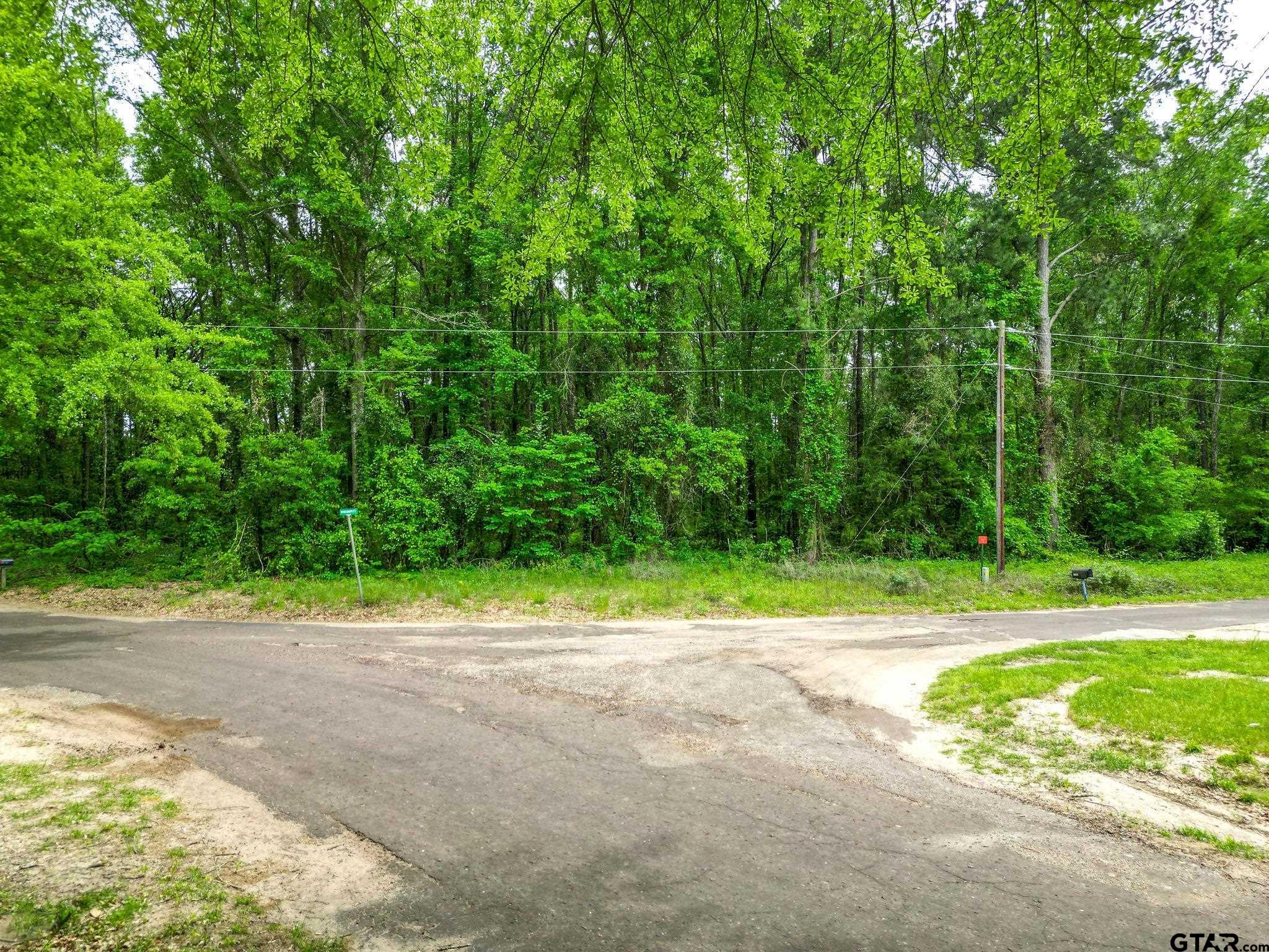 Tbd Giraffe Road Gilmer, TX 75644 - Photo 7 of 10 a view of a yard with a large trees