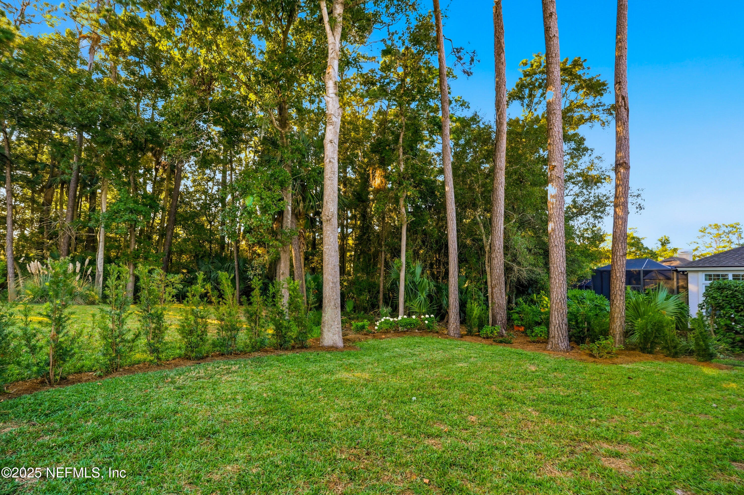 1202 Salt Creek Pointe Way Ponte Vedra Beach, FL 32082 - Photo 47 of 77 a view of a yard with a tree
