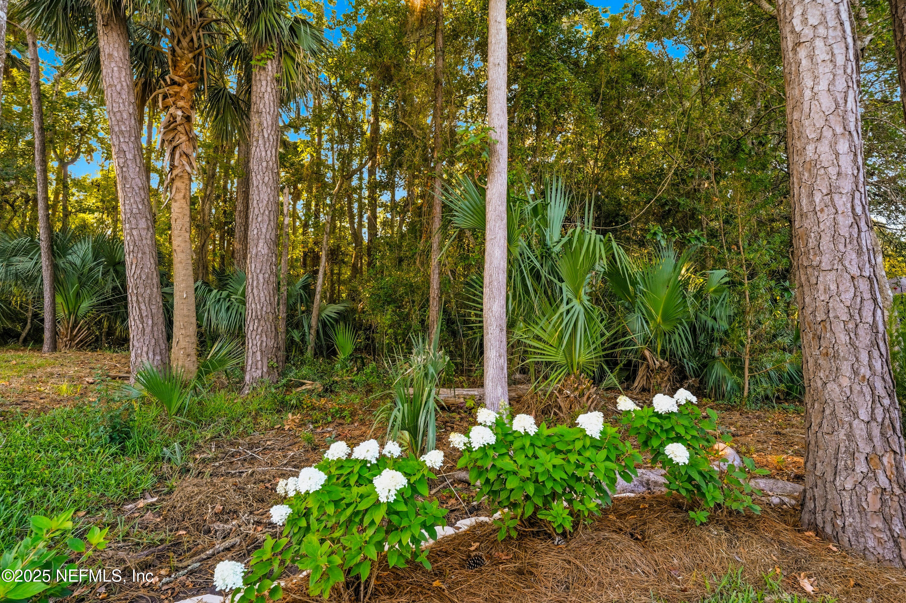 1202 Salt Creek Pointe Way Ponte Vedra Beach, FL 32082 - Photo 48 of 77 a view of a garden