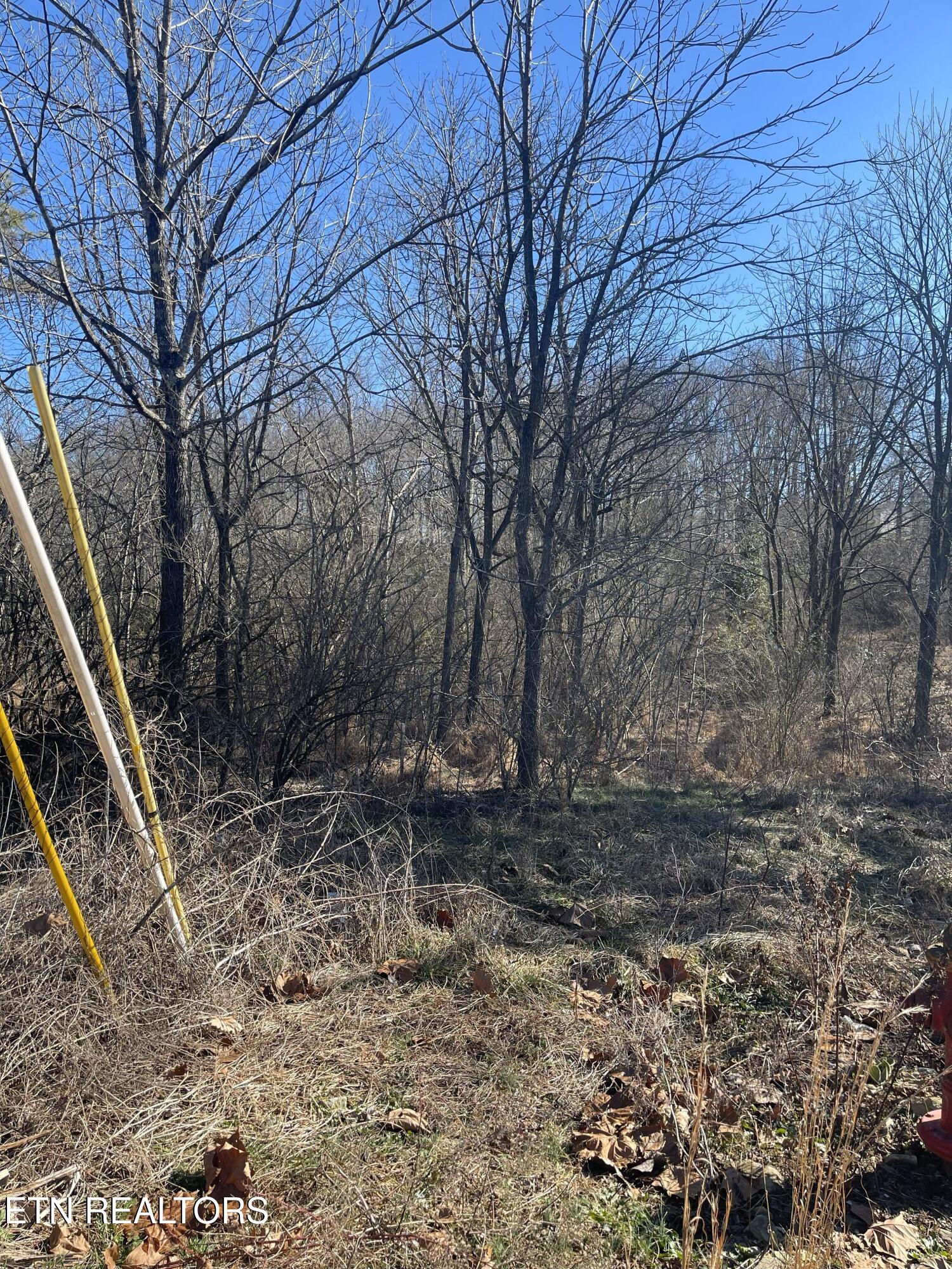 Livesay Street Crossville, TN 38555 - Photo 3 of 7 Wooded View