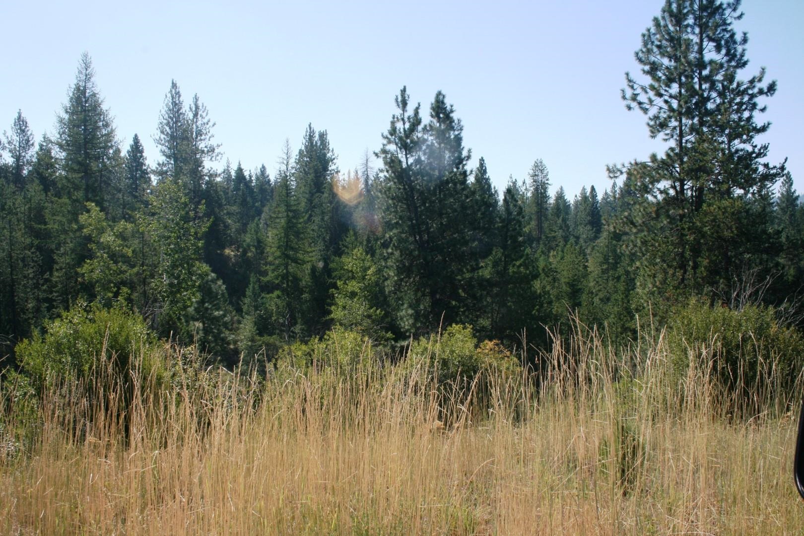 5203 Olinger Road Springdale, WA 99173 - Photo 15 of 25