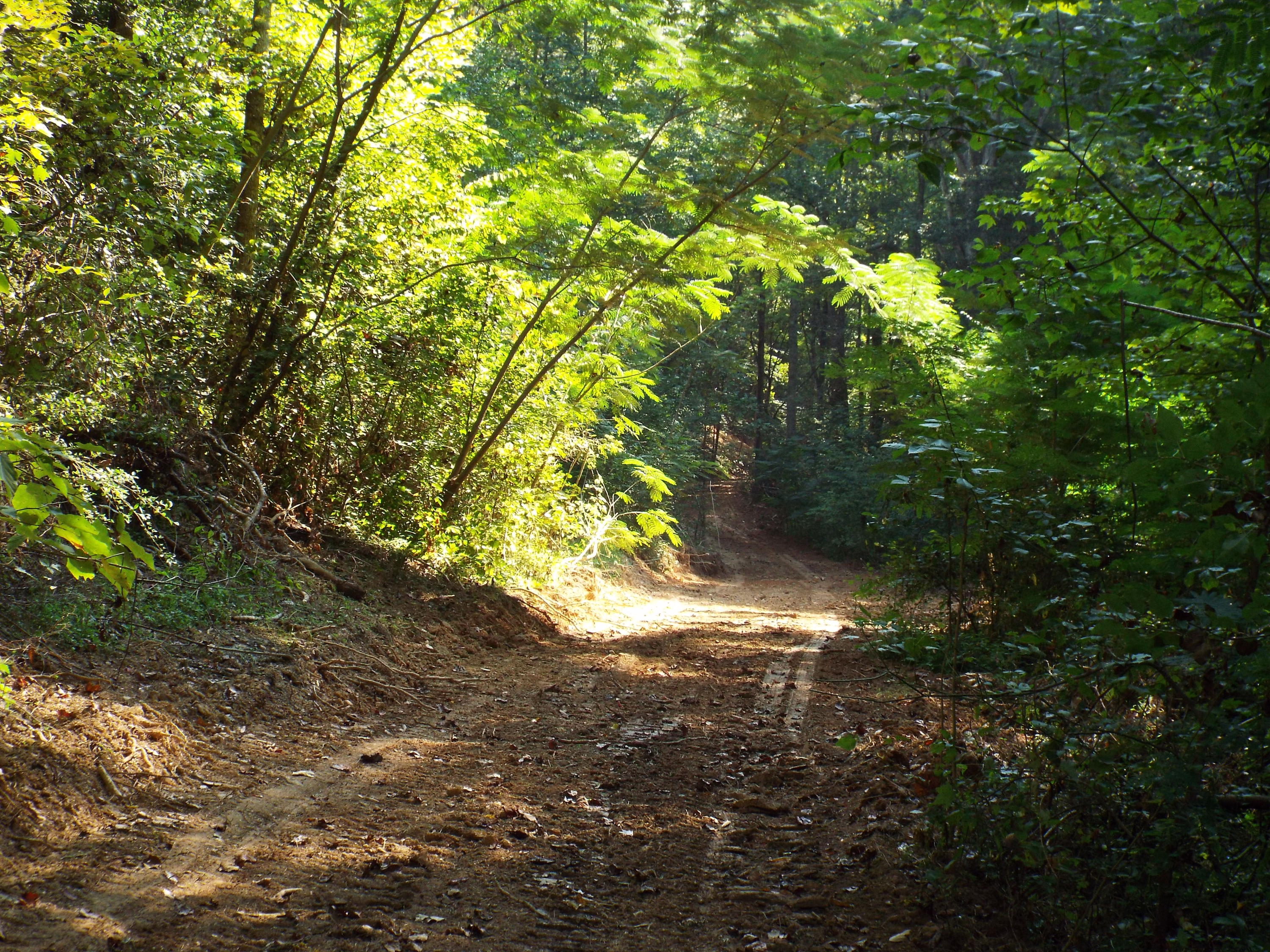 Ogle Road Sevierville, TN 37876 - Photo 1 of 11 DSCF3403