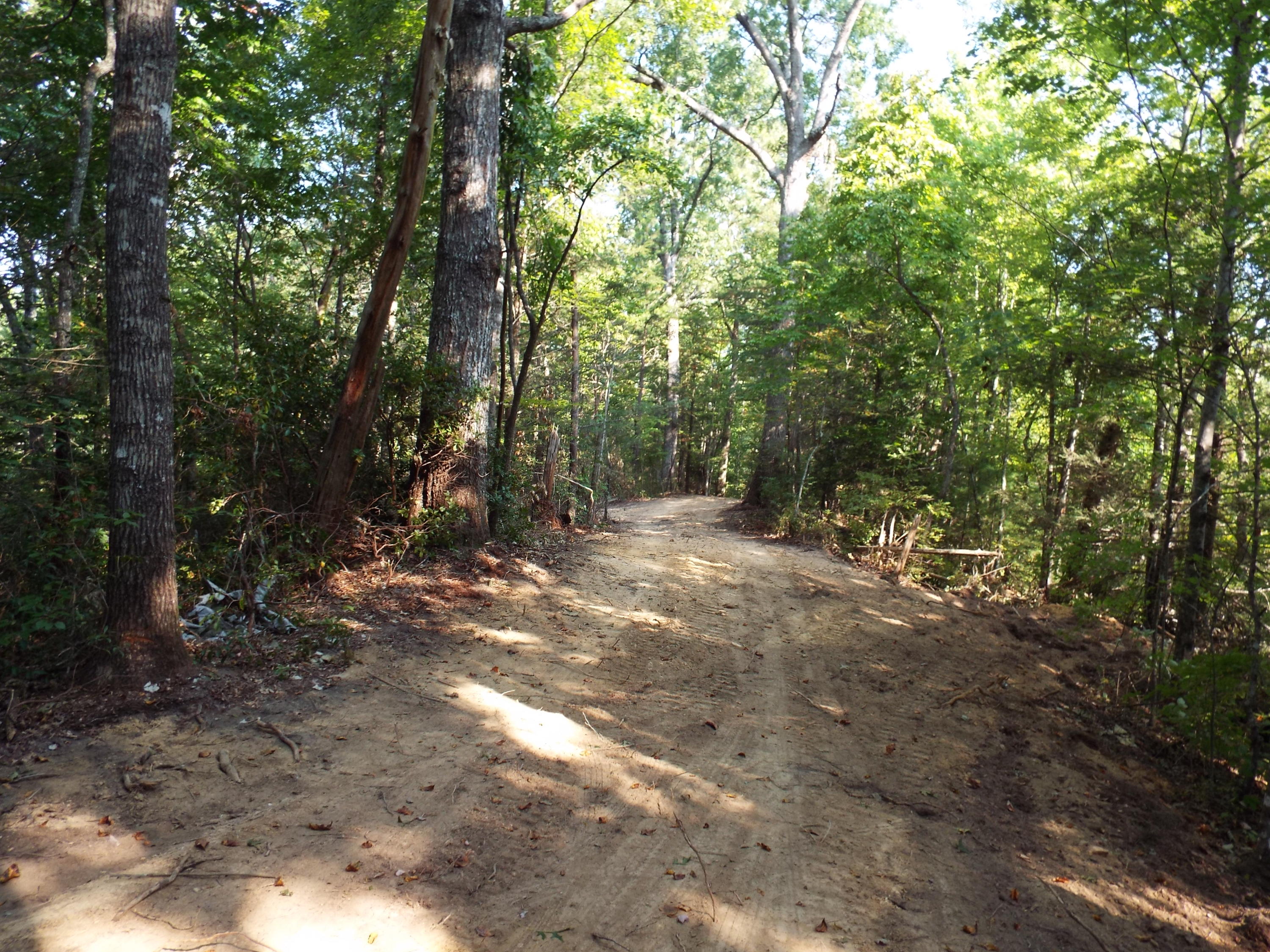 Ogle Road Sevierville, TN 37876 - Photo 3 of 11 DSCF3390
