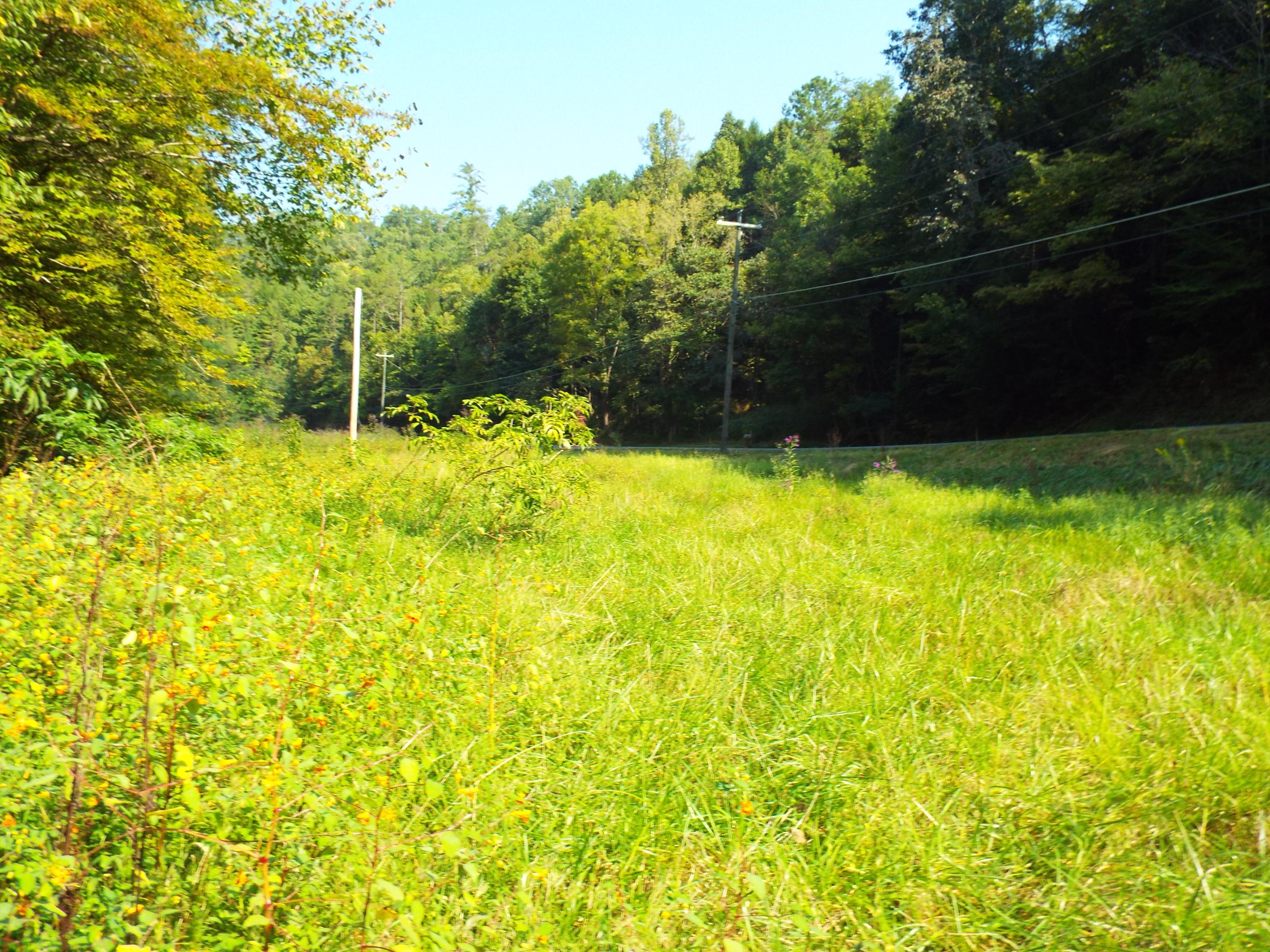 Ogle Road Sevierville, TN 37876 - Photo 5 of 11 DSCF3393