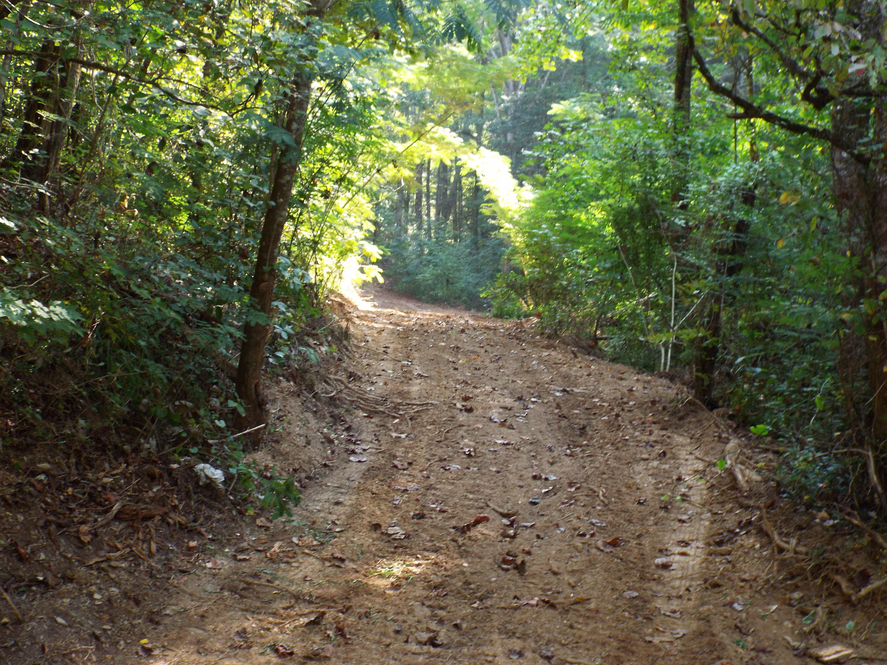 Ogle Road Sevierville, TN 37876 - Photo 10 of 11 DSCF3401