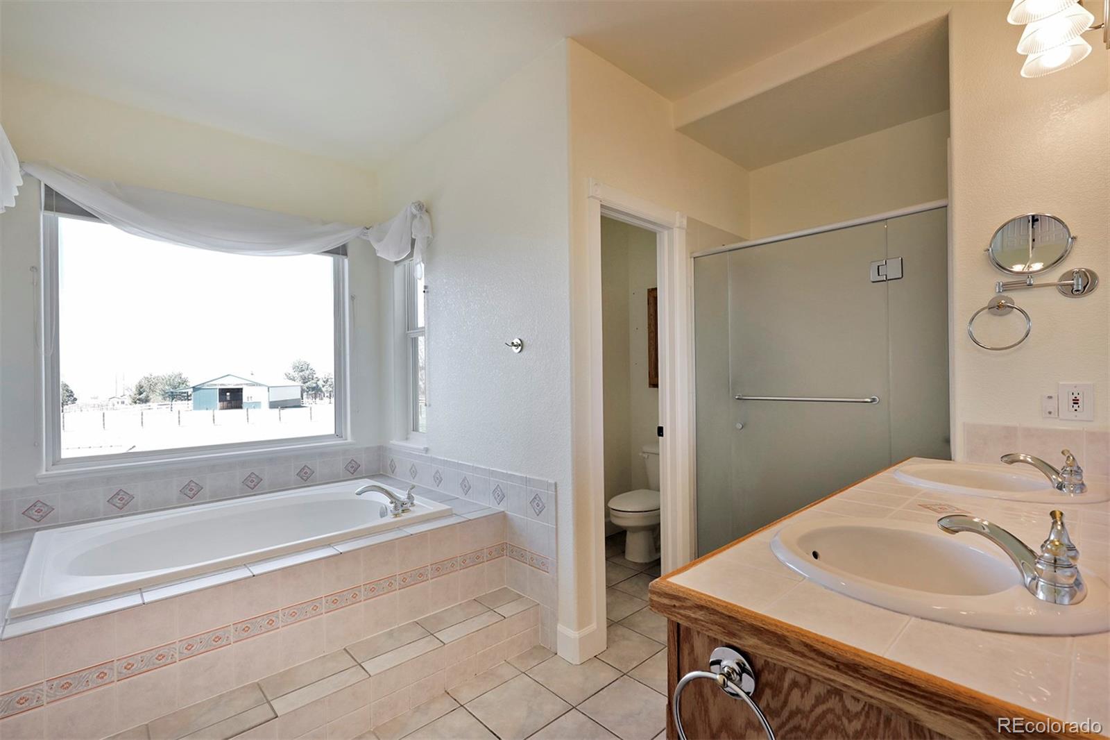 4627 Bayou Hills Road Parker, CO 80134 - Photo 16 of 40 a bathroom with a sink a toilet and shower