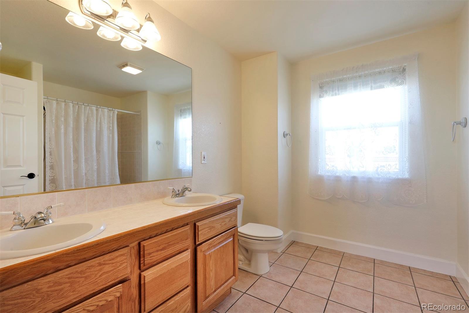 4627 Bayou Hills Road Parker, CO 80134 - Photo 24 of 40 a bathroom with a sink a toilet and a mirror