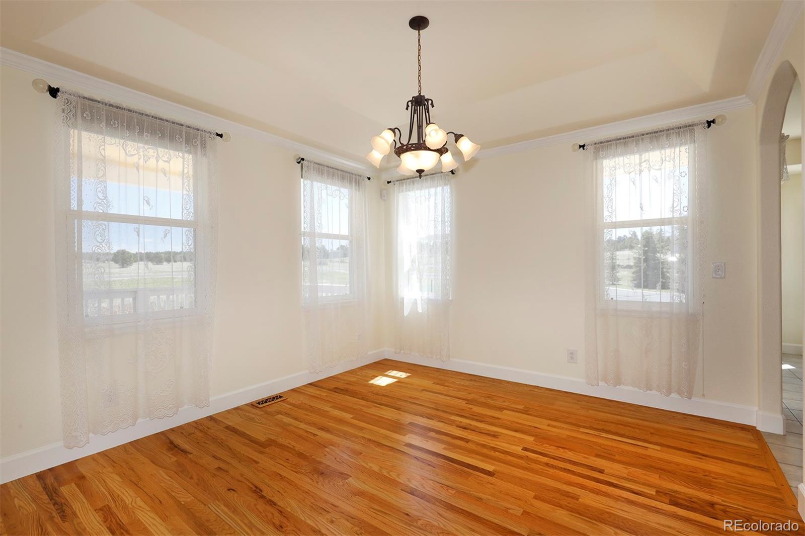 4627 Bayou Hills Road Parker, CO 80134 - Photo 8 of 40 a view of empty room with wooden floor and fan
