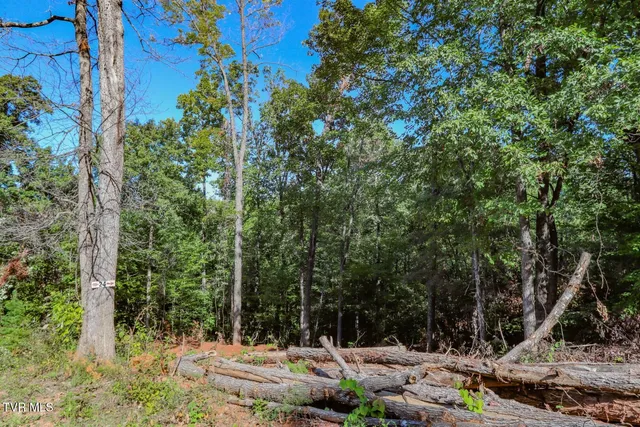 $36,500 | 1282 Applewood Road, Unit 24, Newport, TN 37821