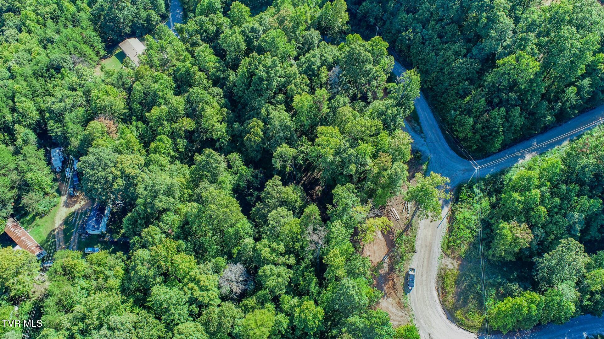 1282 Applewood Road, Unit 24 Newport, TN 37821 - Photo 7 of 19 7