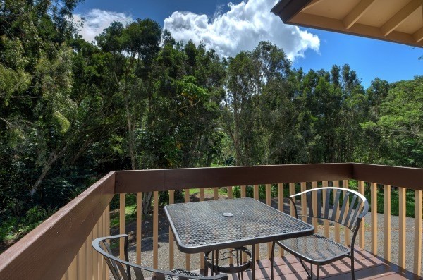 4386 Upa Road, Unit 2 Koloa, HI 96756 - Photo 14 of 25 a view of a chair and table on the roof deck