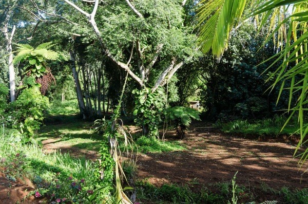 4386 Upa Road, Unit 2 Koloa, HI 96756 - Photo 22 of 25 a backyard of a house with lots of green space