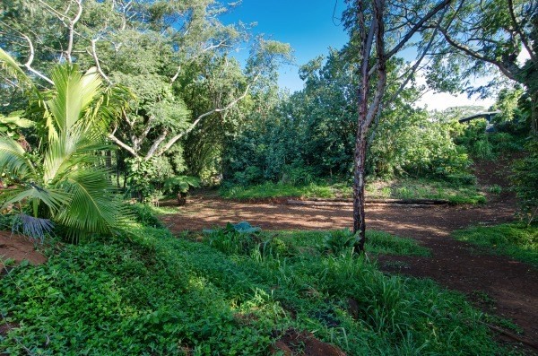 4386 Upa Road, Unit 2 Koloa, HI 96756 - Photo 24 of 25 a view of backyard with green space
