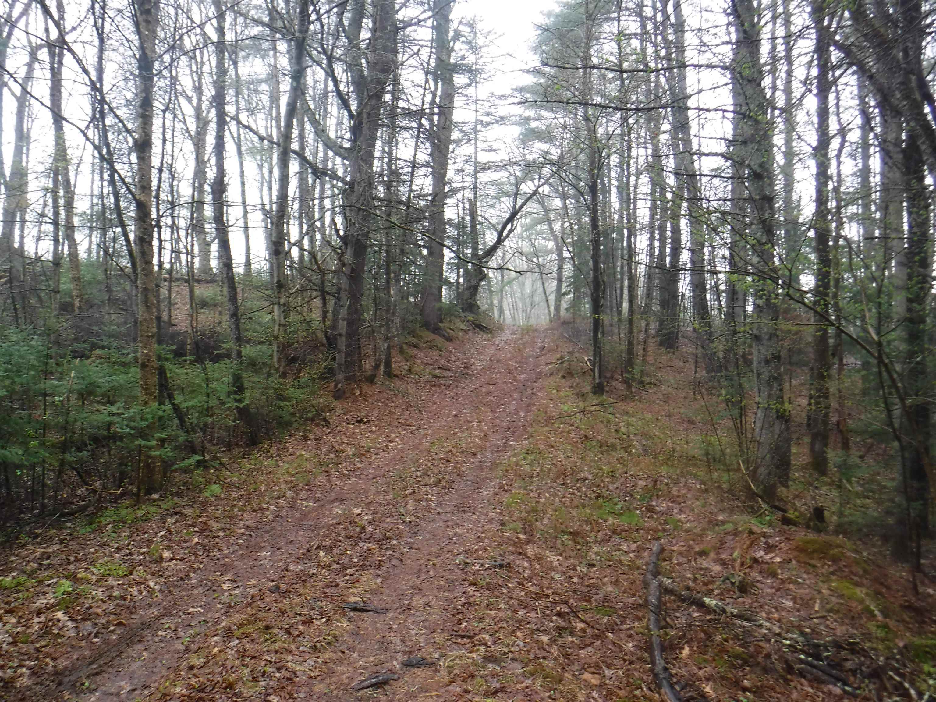1 Sand County Road, Unit 98 North Haverhill, NH 03774 - Photo 5 of 9