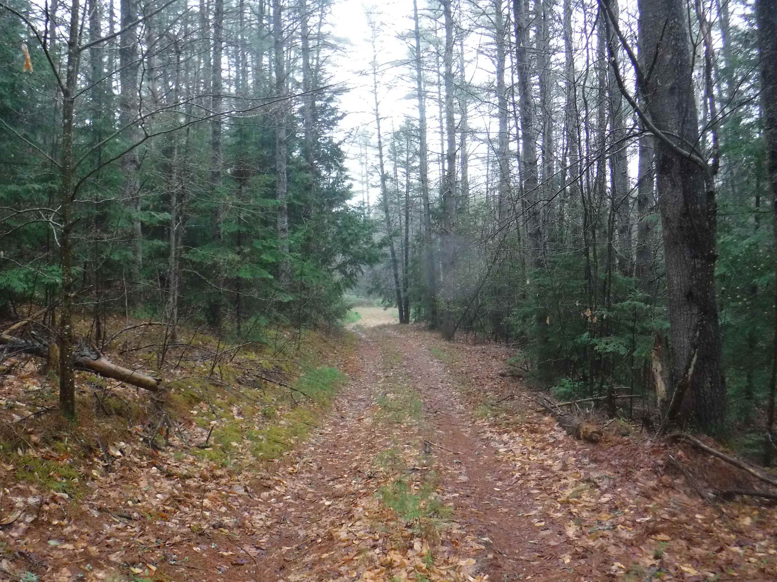 1 Sand County Road, Unit 98 North Haverhill, NH 03774 - Photo 6 of 9