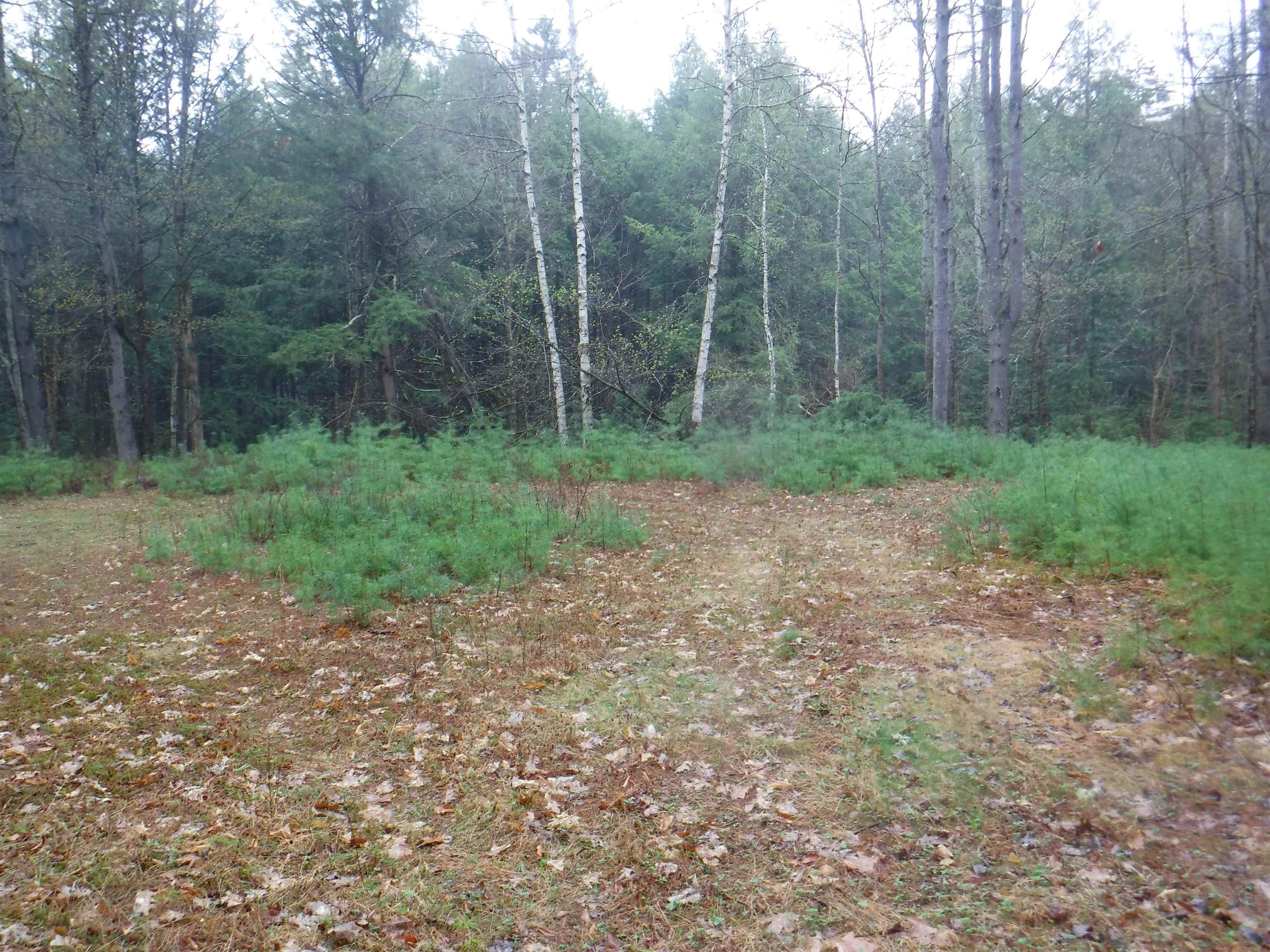 1 Sand County Road, Unit 98 North Haverhill, NH 03774 - Photo 7 of 9
