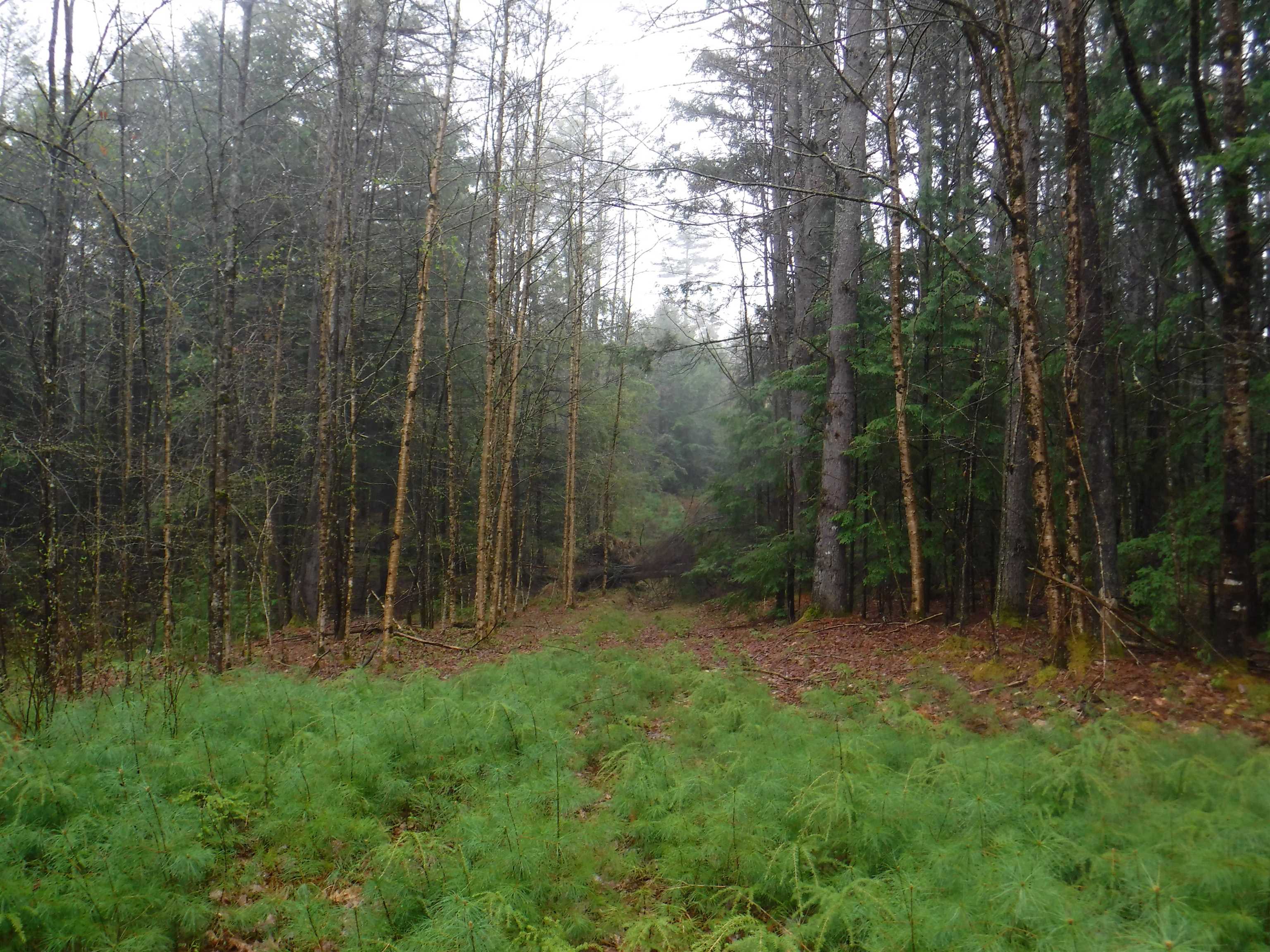 1 Sand County Road, Unit 98 North Haverhill, NH 03774 - Photo 8 of 9