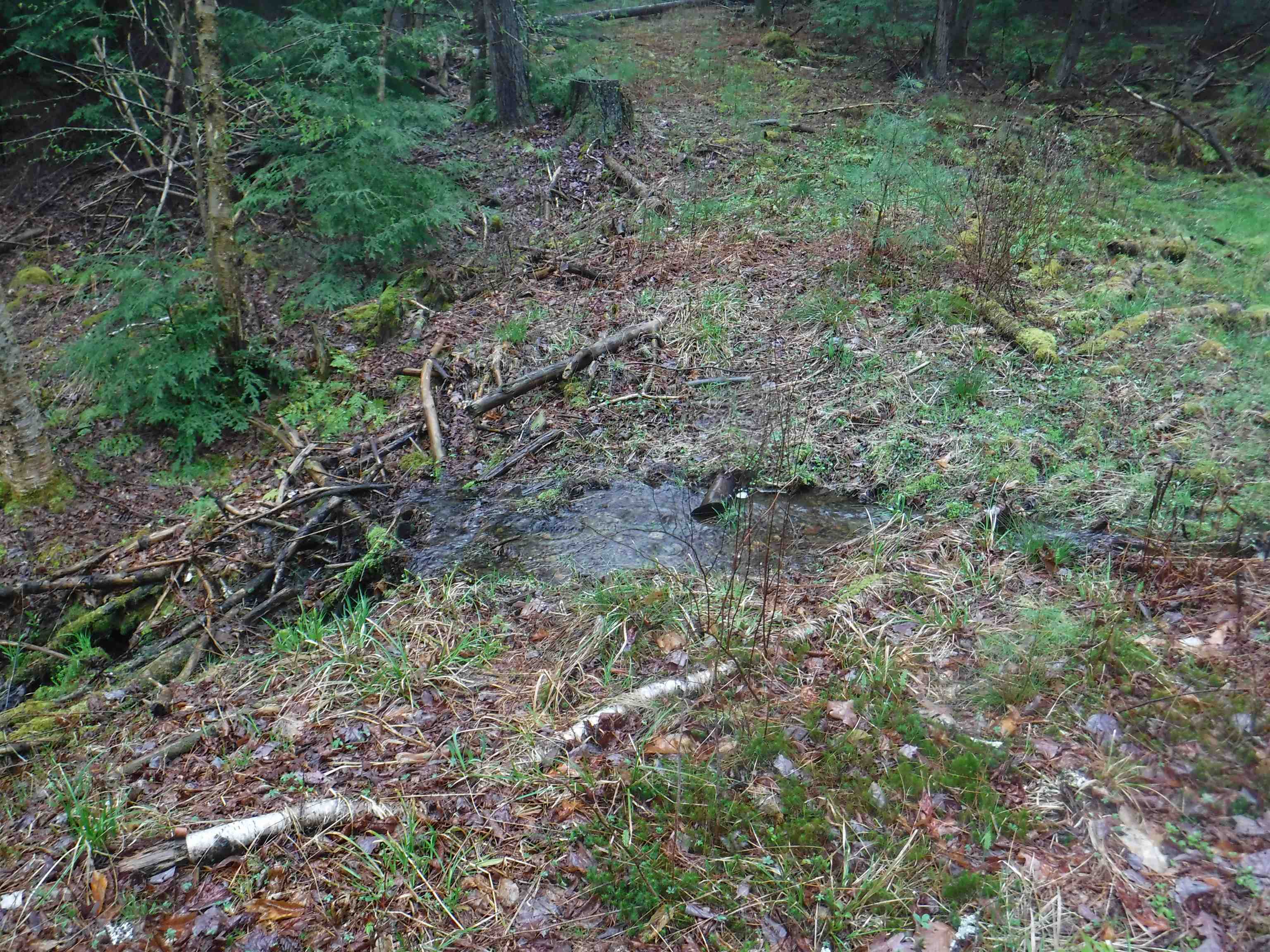 1 Sand County Road, Unit 98 North Haverhill, NH 03774 - Photo 9 of 9