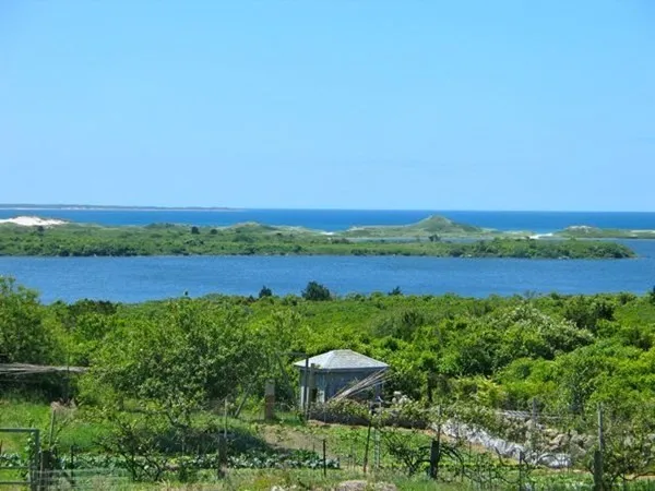 an aerial view of a house with a yard and lake view