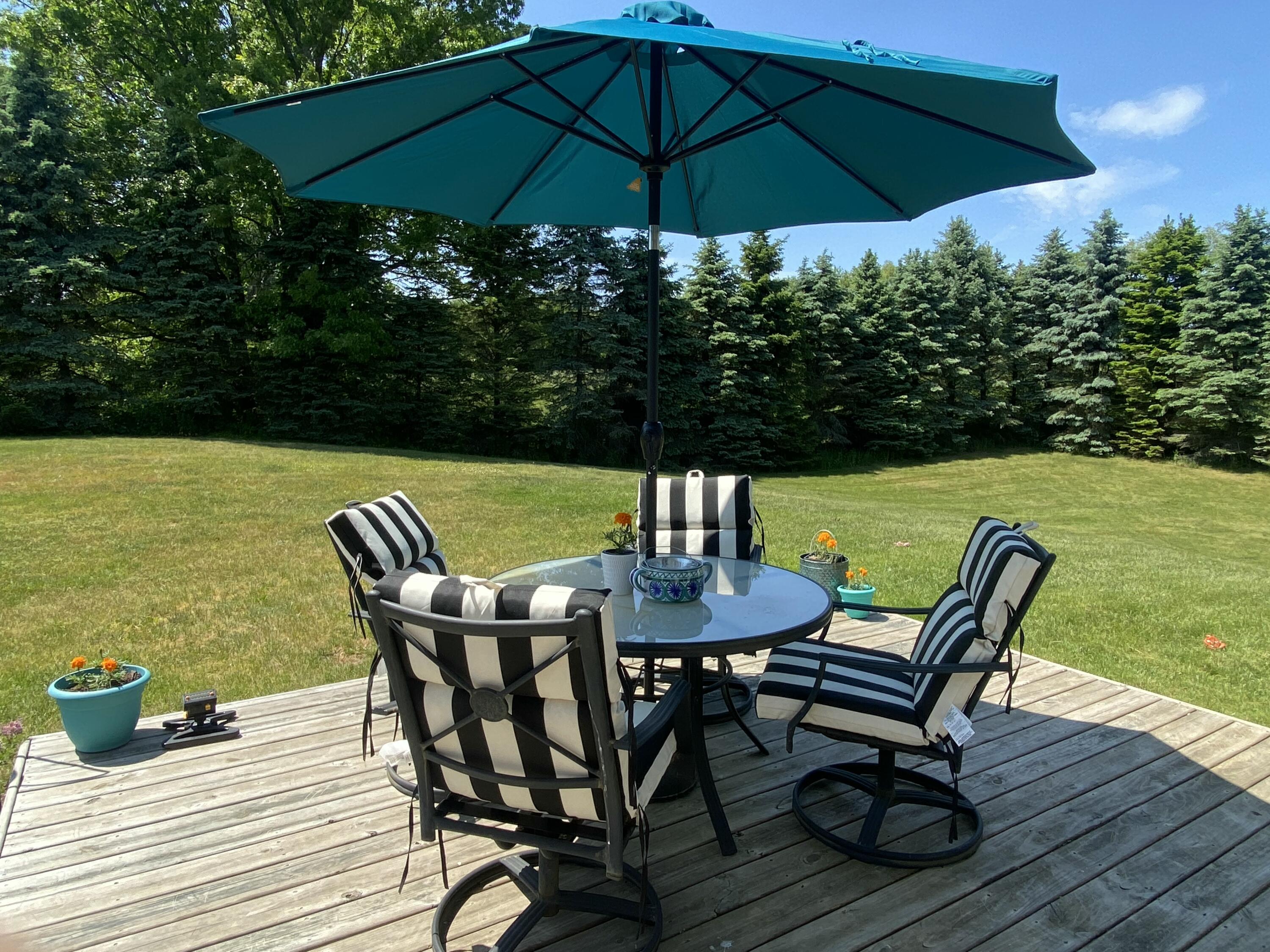 134 Doster Road Plainwell, MI 49080 - Photo 18 of 31 IMG_8990