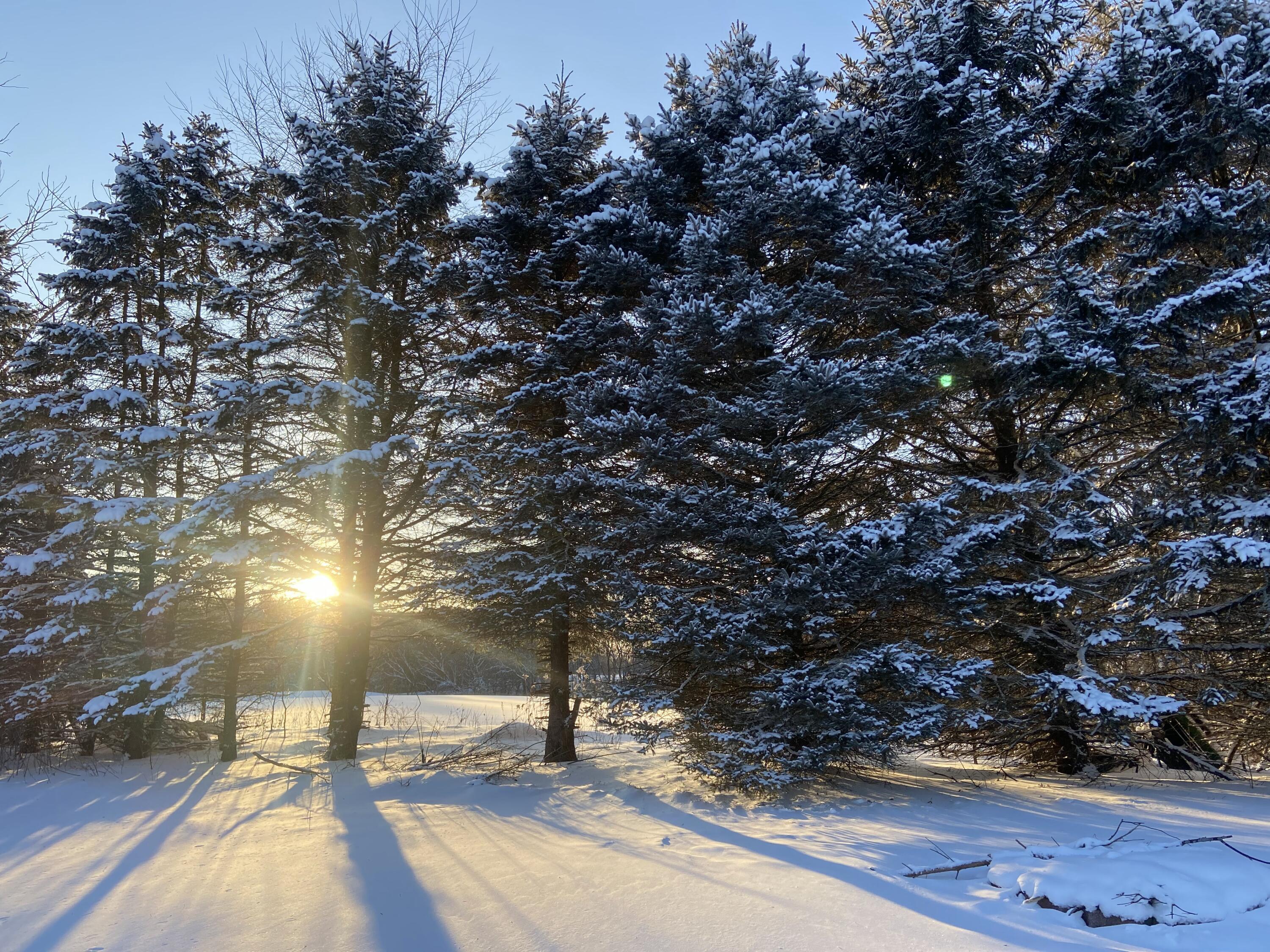 134 Doster Road Plainwell, MI 49080 - Photo 19 of 31 IMG_4553