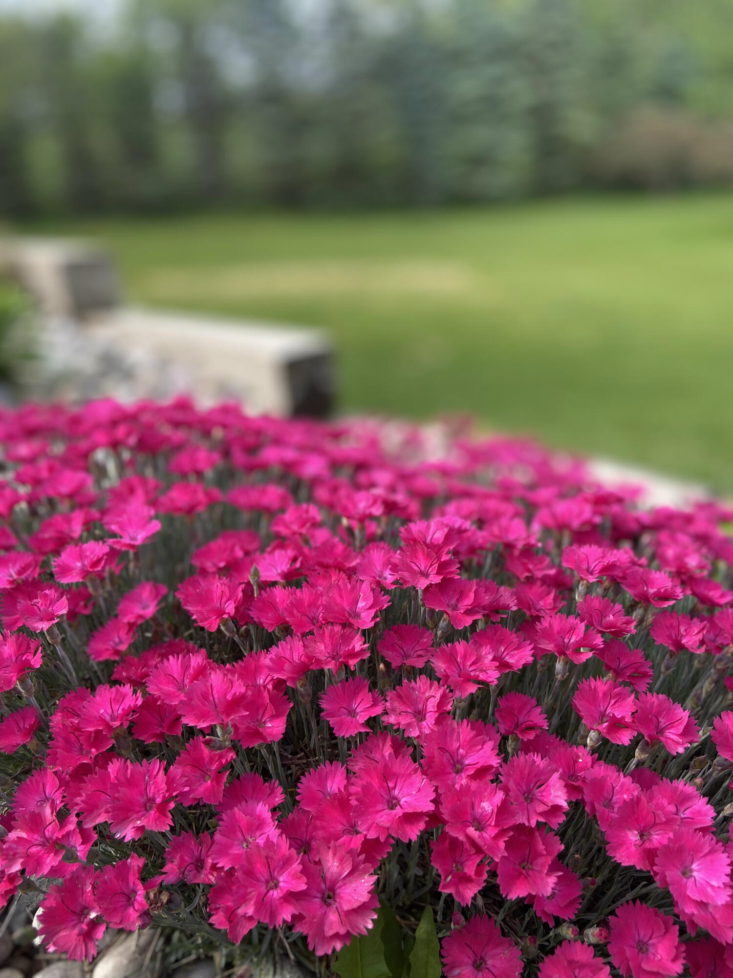 134 Doster Road Plainwell, MI 49080 - Photo 27 of 31 IMG_2029