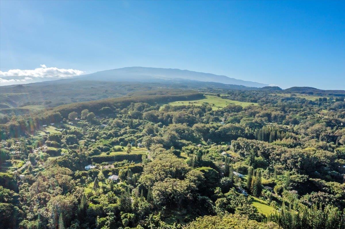 82 Mamao Place Haiku, HI 96708 - Photo 2 of 20