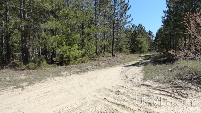 Tbd Off Doe Lake Road Munising, MI 49862 - Photo 10 of 11