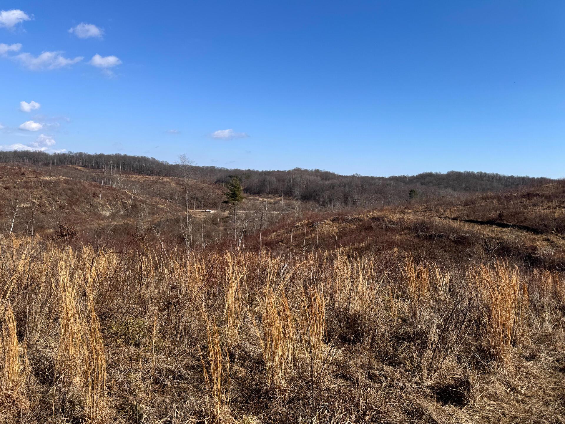 0 Sulphur Spring Road Southeast, Unit SULPHUR SPRINGS) Shawnee, OH 43782 - Photo 24 of 33 CT-24