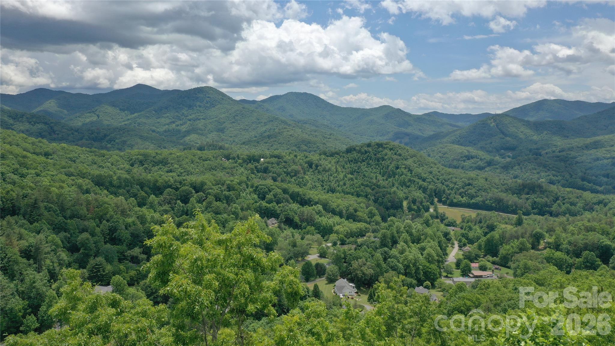 Lot 29 Signal Ridge, Unit 29 Sylva, NC 28779 - Photo 3 of 12