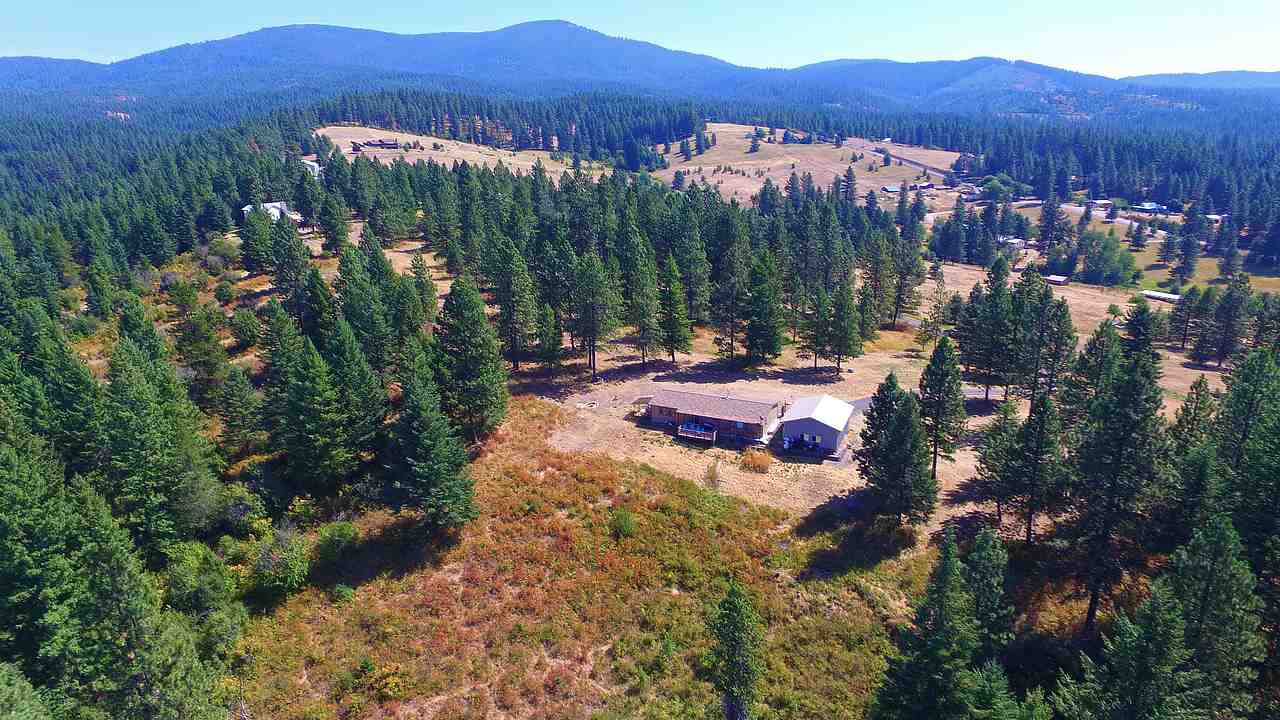 28921 North Conklin Road Chattaroy, WA 99003 - Photo 18 of 20