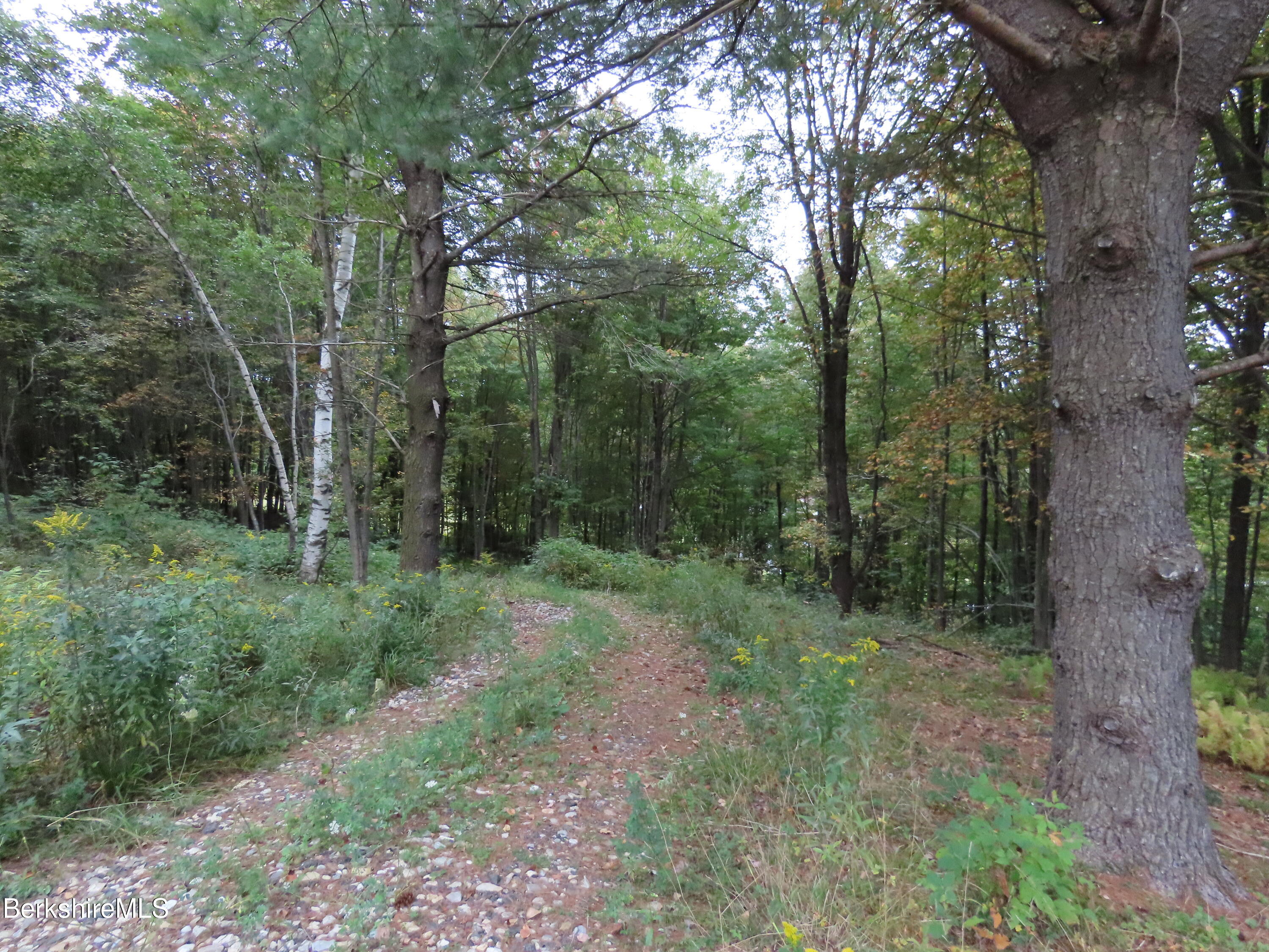 23 South County Road Florida, MA 01247 - Photo 23 of 42 IMG_5819
