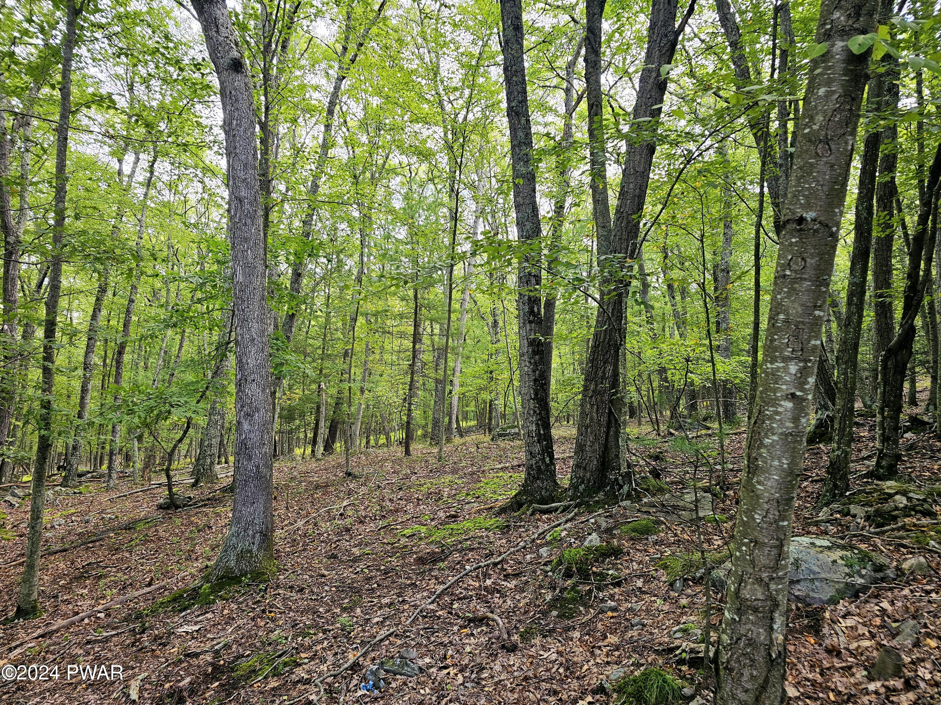 16-32 Oneida Road Shohola, PA 18458 - Photo 1 of 7