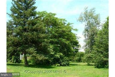 400 St Marys Road Pylesville, MD 21132 - Photo 10 of 29 Rear Yard