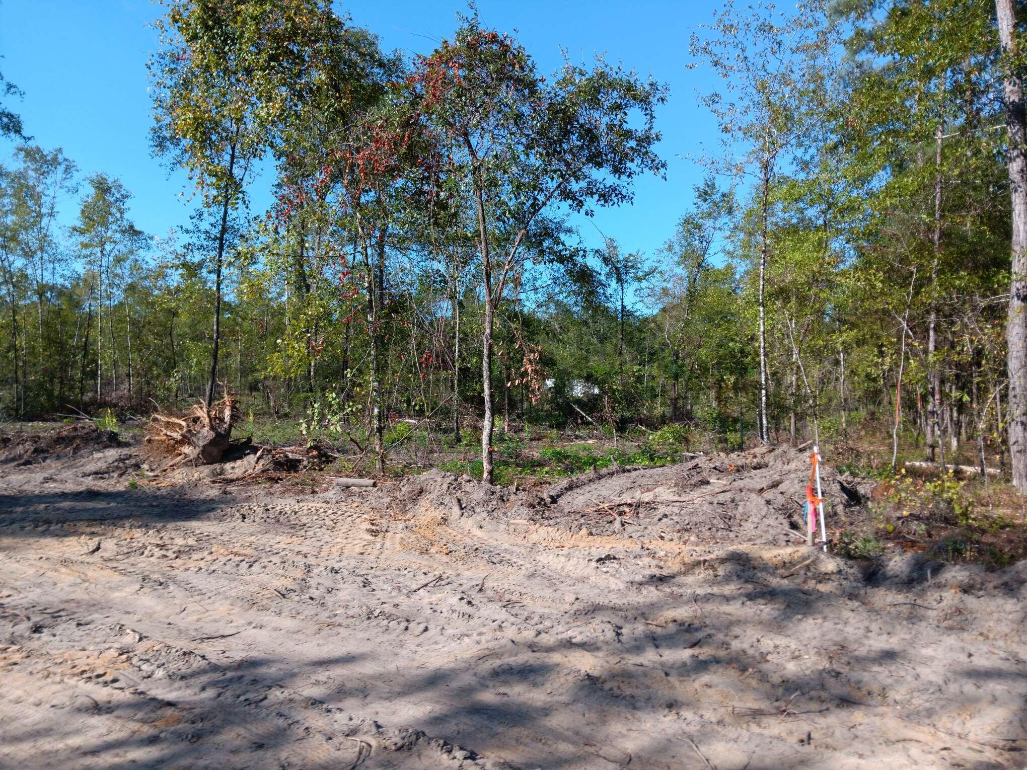 0 Londe Lane Barnwell, SC 29812 - Photo 5 of 12