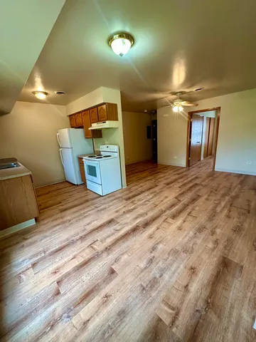 $1,250 | 465 North School Street, Unit 473, Diamond, IL 60416