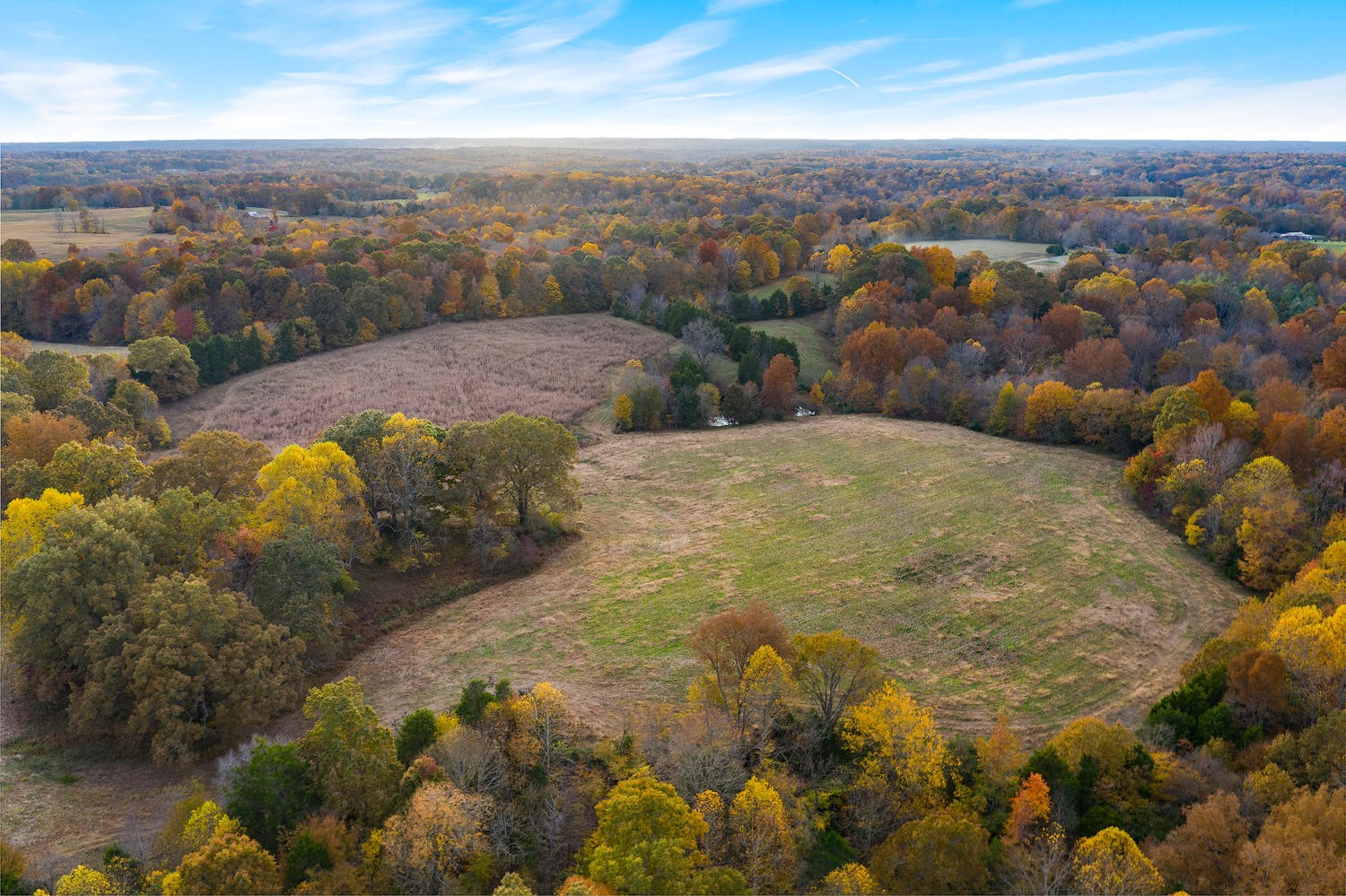 1 Wiley Brown Road Clarksville, TN 37043 - Photo 6 of 16 Gallery Image 6