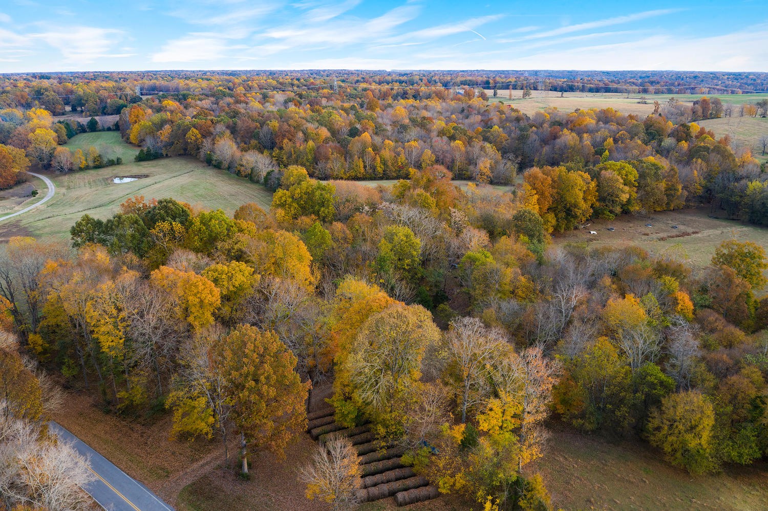 1 Wiley Brown Road Clarksville, TN 37043 - Photo 7 of 16 Gallery Image 7