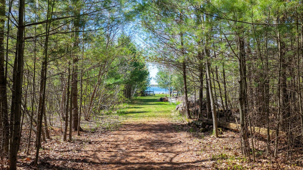 1715 South Lake Drive Shell Lake, WI 54871 - Photo 28 of 38
