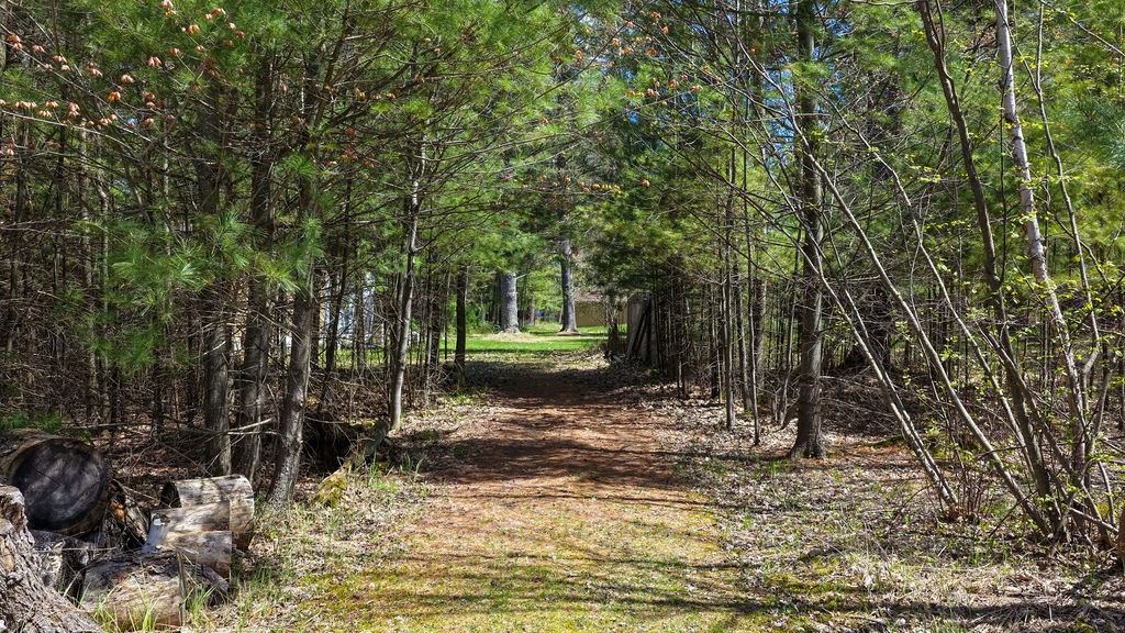 1715 South Lake Drive Shell Lake, WI 54871 - Photo 29 of 38