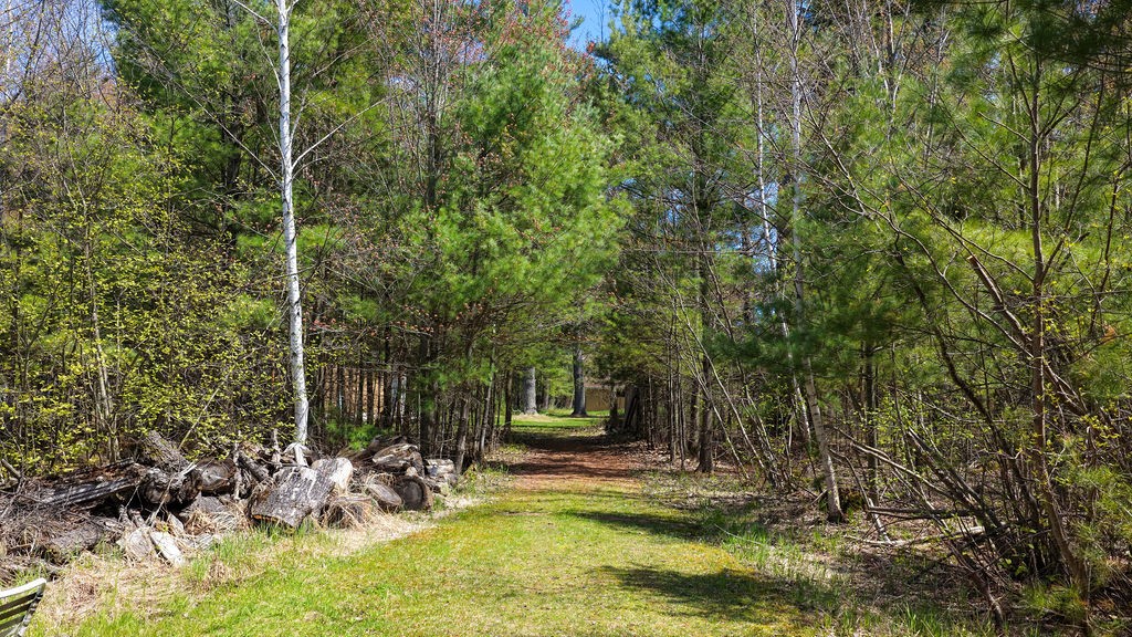1715 South Lake Drive Shell Lake, WI 54871 - Photo 32 of 38