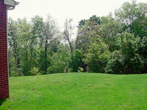 105 Brave Run Road Canonsburg, PA 15317 - Photo 6 of 8 Yard/Garden.